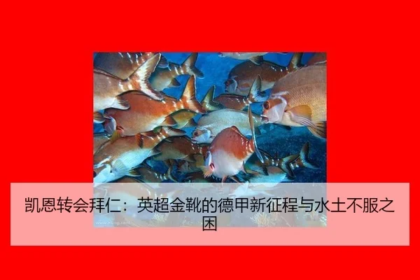 kai-en-zhuan-hui-bai-ren-ying-chao-jin-xue-de-de-jia-xin-zheng-cheng-yu-shui-tu-bu-fu-zhi-kun-3-121.jpg