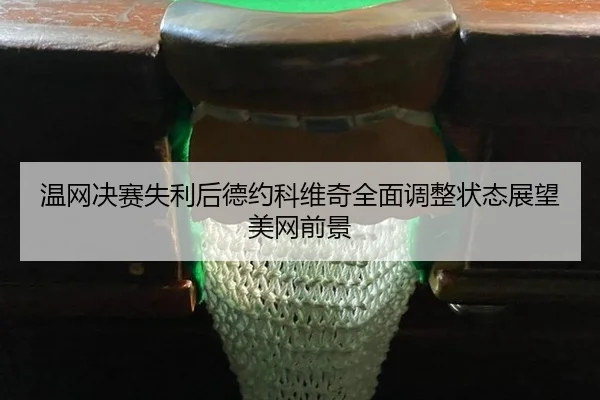 温网决赛失利后德约科维奇全面调整状态展望美网前景