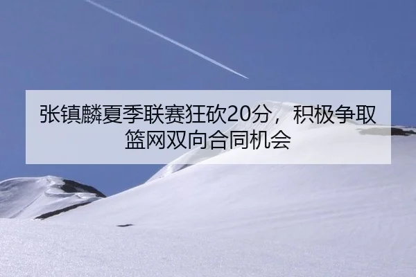 张镇麟夏季联赛狂砍20分，积极争取篮网双向合同机会