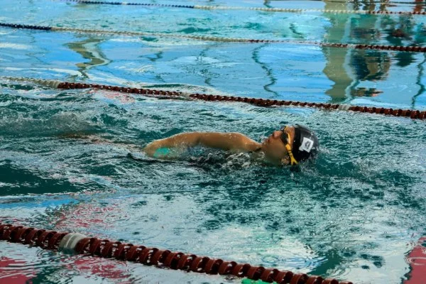 veteran swimmer training